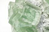 Green Cubic Fluorite Crystals with Phantoms - China #216331-4